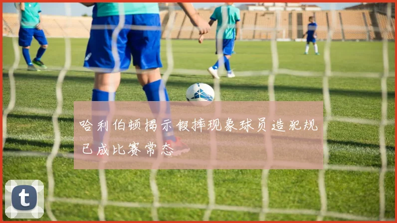 哈利伯顿揭示假摔现象球员造犯规已成比赛常态